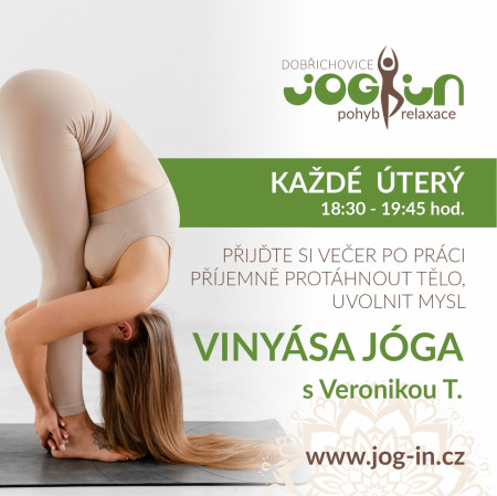 VINYÁSA JÓGA ÚTERÝ 18:30-19:45